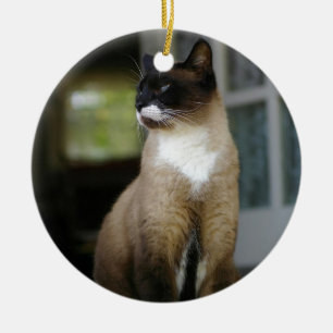 Siamese Cat on the Porch Ceramic Tree Decoration