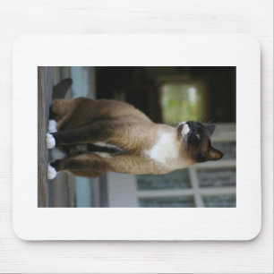 Siamese Cat on the Porch Mouse Mat