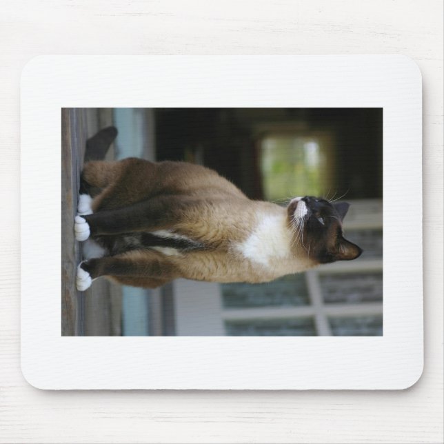 Siamese Cat on the Porch Mouse Mat (Front)
