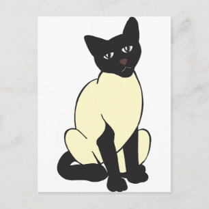 Siamese Cat Pet Cute Destiny Animals Postcard