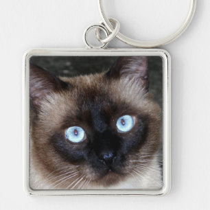 Siamese Cat Portrait Key Ring
