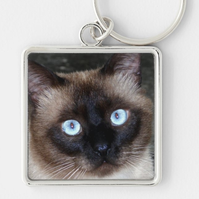 Siamese Cat Portrait Key Ring (Front)