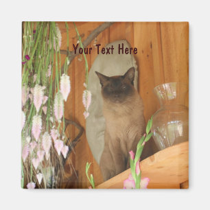 Siamese Cat Posing Animal Photography Magnet #1