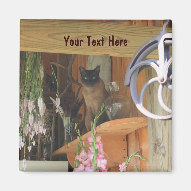 Siamese Cat Posing Animal Photography Magnet #2 (Front)