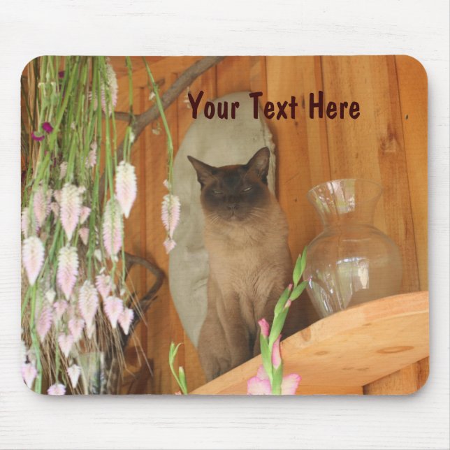 Siamese Cat Posing Animal Photography Mousepad #1 (Front)