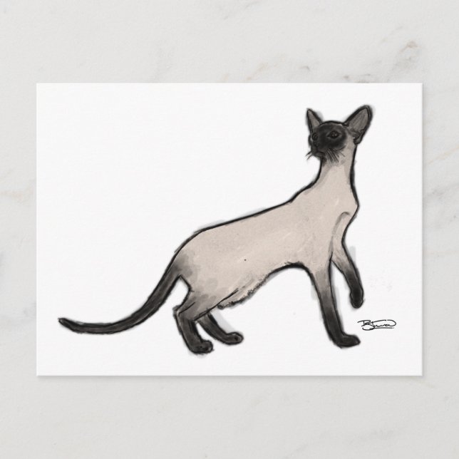 Siamese Cat Post Card (Front)