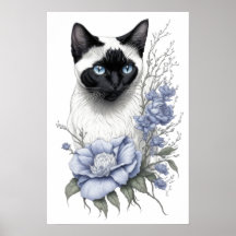 Siamese Cat