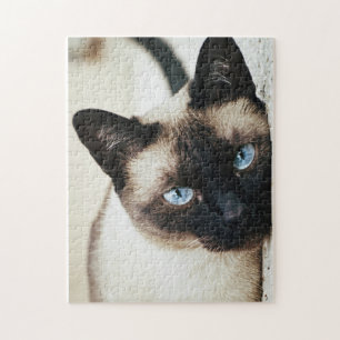 Siamese cat puzzle