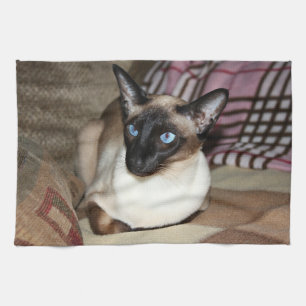 Siamese Cat Relaxing on Couch Tea Towel