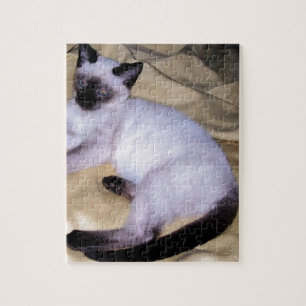 Siamese cat sandstone animal art pet cute kitty jigsaw puzzle