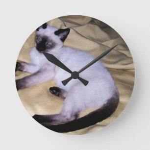 Siamese cat sandstone animal art pet cute kitty round clock