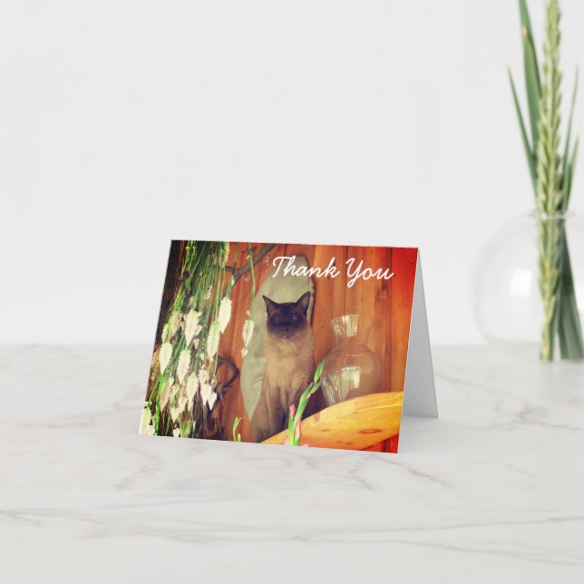 Siamese Cat Sitting Thank You Card  (Front)