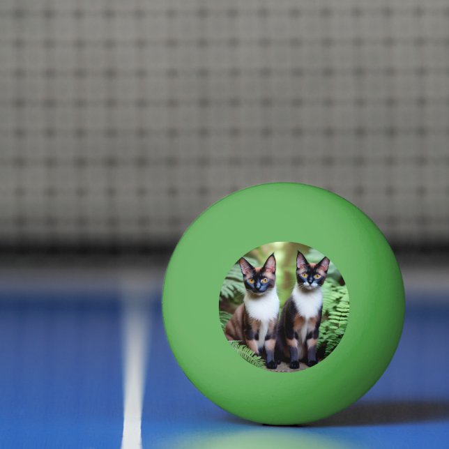 Siamese Cat Twins, Ping Pong Ball (Net)