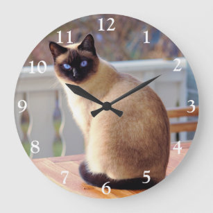 Siamese Cat with Blue Eyes Large Clock