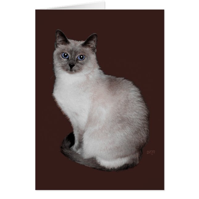 Siamese Cat with BlueEyes (Front)