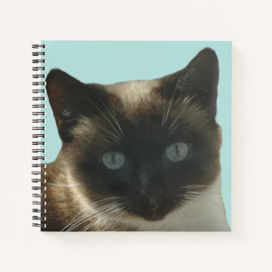 Siamese Cat with Bright Blue Eyes Notebook