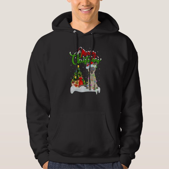 Siamese Cat  Xmas Decorations Siamese Cat Christma Hoodie (Front)