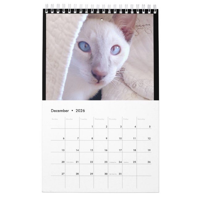 Siamese Cats Calendar (Dec 2026)