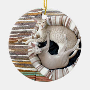 Siamese Cats Just Chillin! Ceramic Tree Decoration