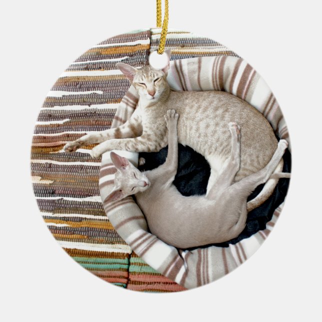 Siamese Cats Just Chillin! Ceramic Tree Decoration (Front)