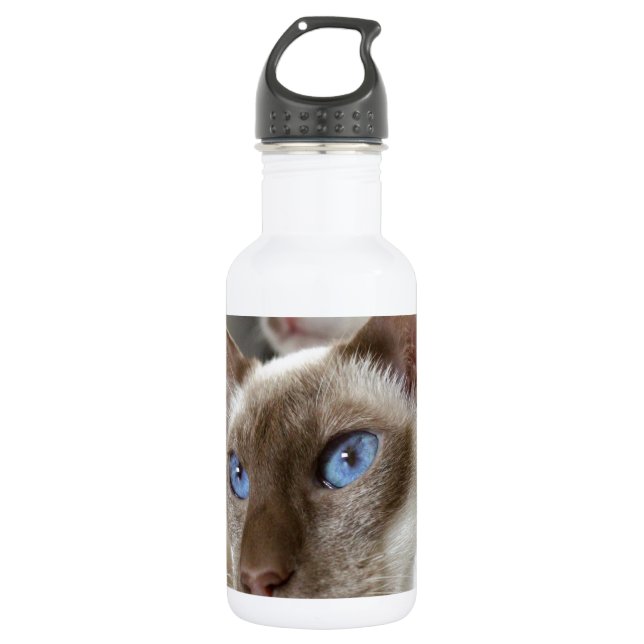 Siamese  Cats Pets Animals 532 Ml Water Bottle (Front)