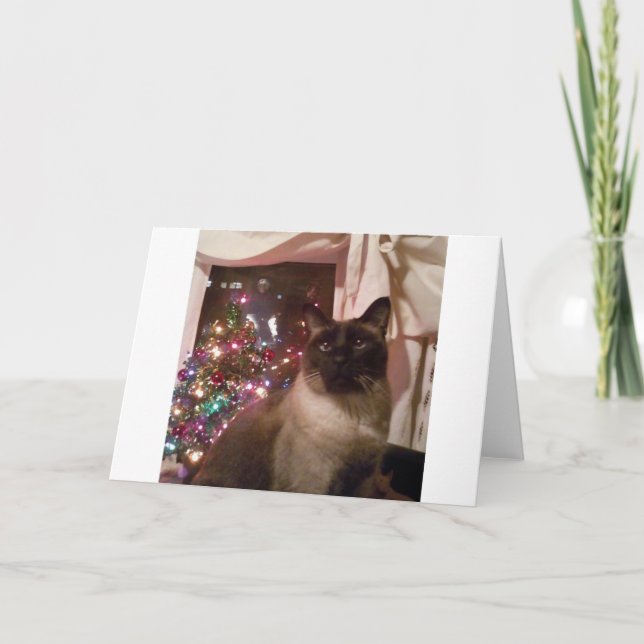 siamese christmas holiday card (Front)