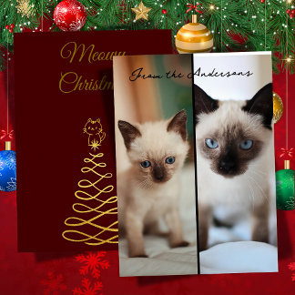 Siamese christmas holiday card
