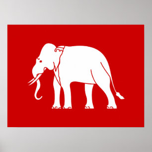 Siamese Elephant Poster