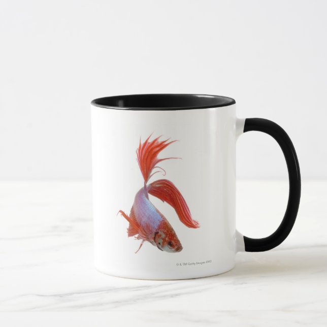 Siamese fighting fish (Betta splendens) Mug (Right)