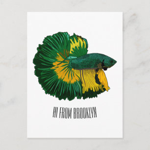 Siamese fighting fish cartoon illustration postcard