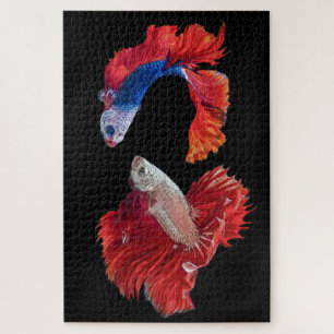 Siamese Fighting Fish Jigsaw Puzzle