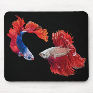 Siamese Fighting Fish Mouse Mat