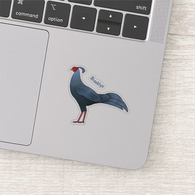 Siamese fireback bird cartoon illustration  (Detail)