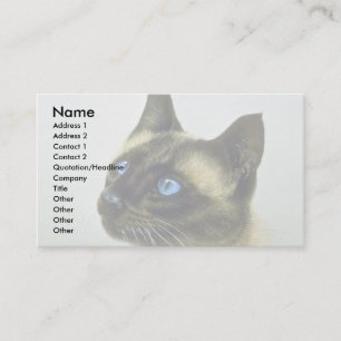Siamese (head study) business card