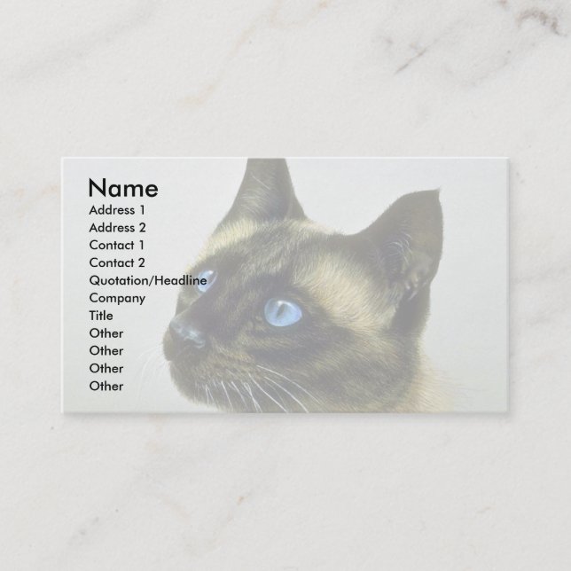Siamese (head study) business card (Front)
