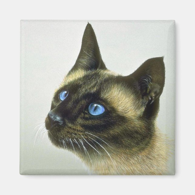Siamese (head study) magnet (Front)