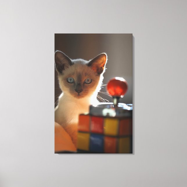 Siamese kitten 2 canvas print (Front)