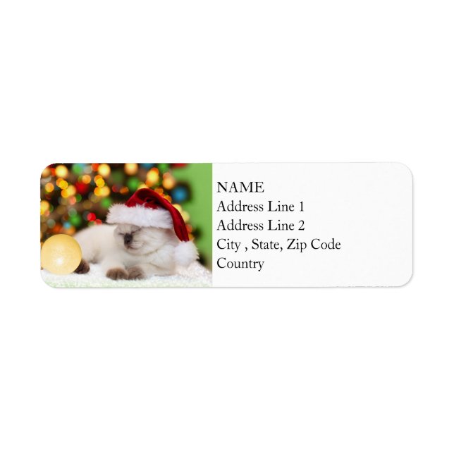 Siamese Kitten: Gold Ornament (Front)