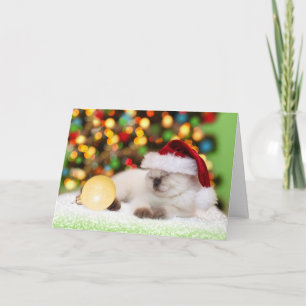 Siamese Kitten: Gold Ornament Holiday Card
