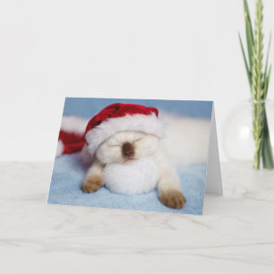 Siamese Kitten: Holiday Napping Card