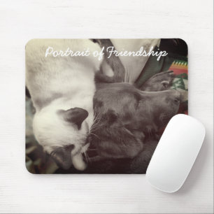 Siamese Kitten Lovingly Lies On Labrador's Head Mouse Mat