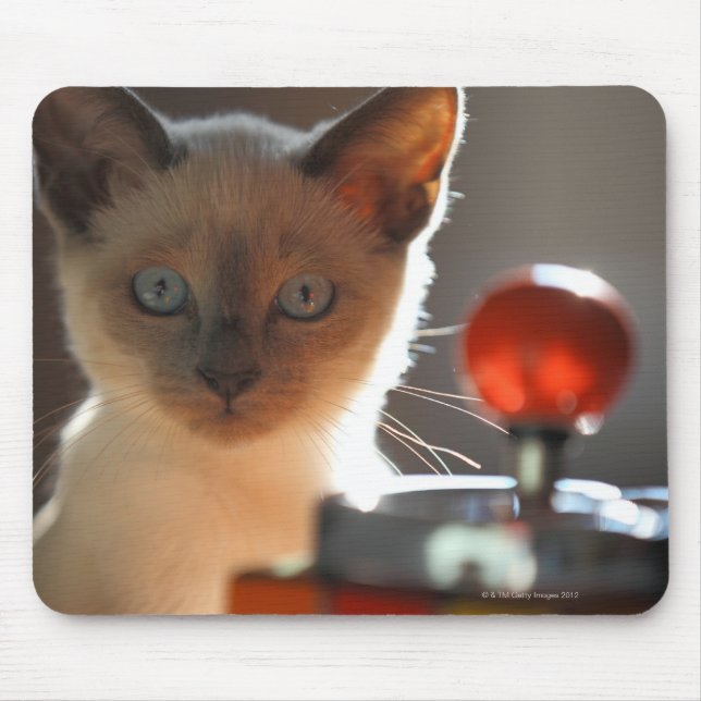 Siamese kitten mouse mat (Front)