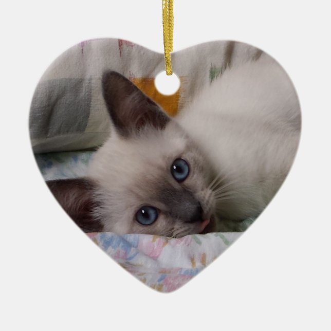 Siamese Kitten Ornament (Front)