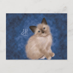 Siamese Kitten Postcard