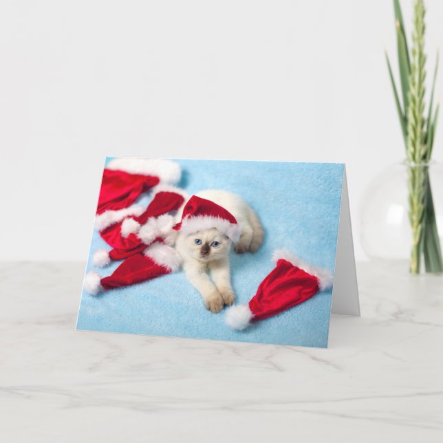 Siamese Kitten: Santa Hats Holiday Card (Front)