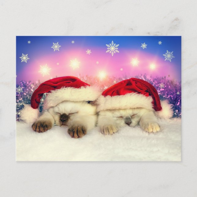 Siamese Kitten: Santa Twinsies Holiday Postcard (Front)