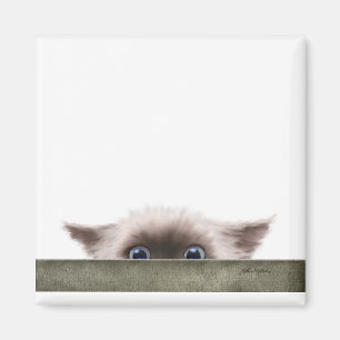 Siamese Kitten Stalking You Cartoon Magnet