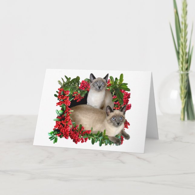 Siamese Kittens in Berry Frame Holiday Card (Front)