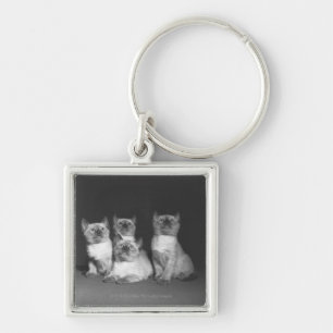 Siamese kittens looking up B&W Key Ring