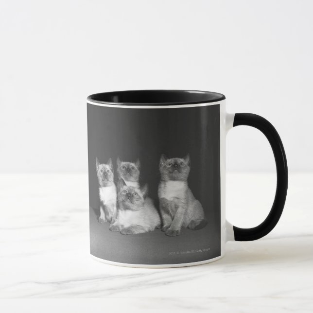 Siamese kittens looking up B&W Mug (Right)